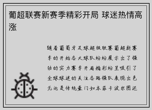 葡超联赛新赛季精彩开局 球迷热情高涨